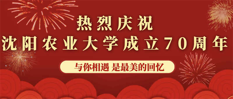 愛心捐贈助學，真情回報母校