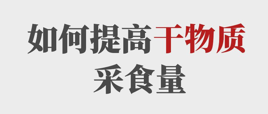 做到這5點(diǎn)提高育肥牛的干物質(zhì)采食量！